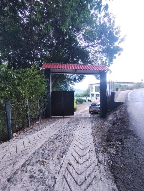 Camino de entrada a la finca